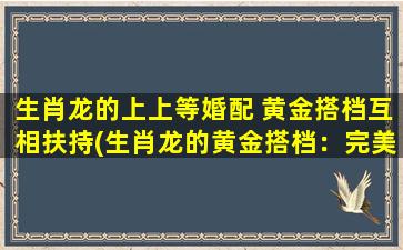 生肖龙的上上等婚配 黄金搭档互相扶持(生肖龙的黄金搭档：完美互补，共建美满婚姻)